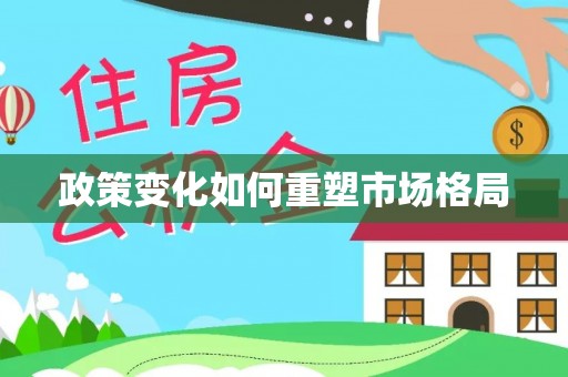 麦寮政策变化如何重塑市场格局
