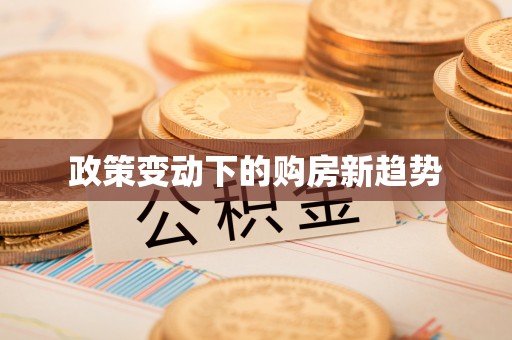 麦寮政策变动下的购房新趋势