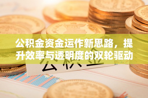 麦寮公积金资金运作新思路，提升效率与透明度的双轮驱动