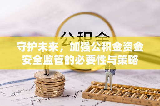 麦寮守护未来，加强公积金资金安全监管的必要性与策略