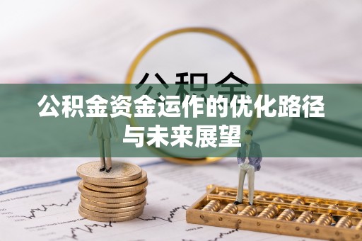 麦寮公积金资金运作的优化路径与未来展望