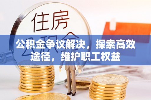 麦寮公积金争议解决，探索高效途径，维护职工权益