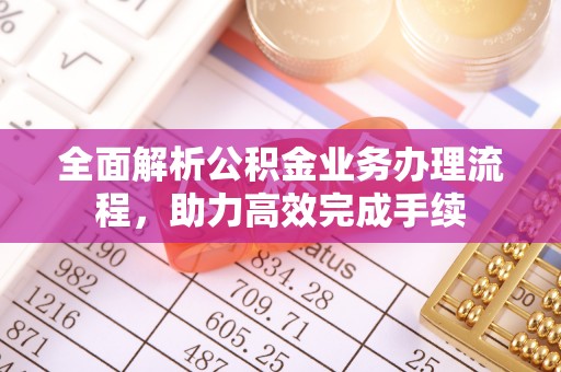 麦寮全面解析公积金业务办理流程，助力高效完成手续