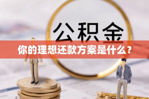 麦寮你的理想还款方案是什么？