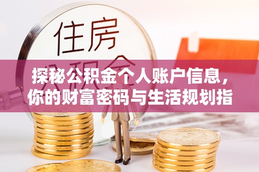 麦寮探秘公积金个人账户信息，你的财富密码与生活规划指南