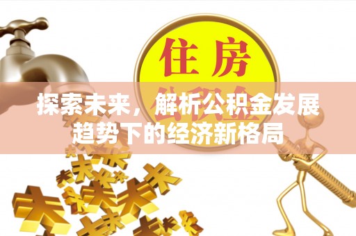 麦寮探索未来，解析公积金发展趋势下的经济新格局