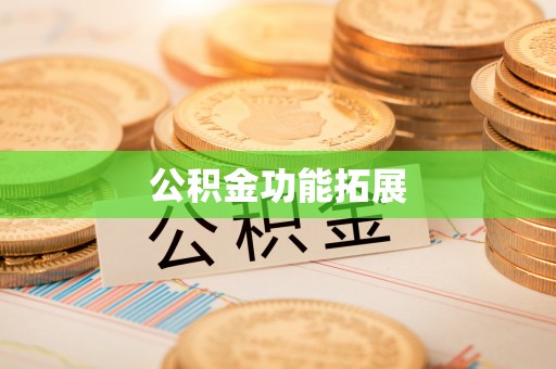 麦寮公积金功能拓展
