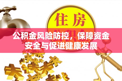 麦寮公积金风险防控，保障资金安全与促进健康发展