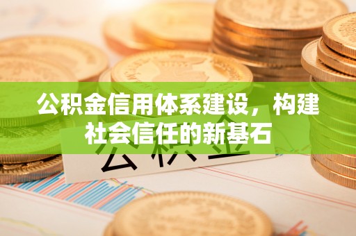 麦寮公积金信用体系建设，构建社会信任的新基石
