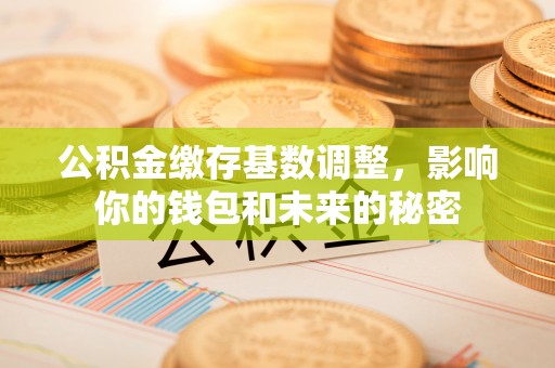 麦寮公积金缴存基数调整，影响你的钱包和未来的秘密