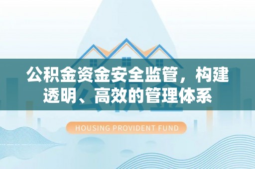 麦寮公积金资金安全监管，构建透明、高效的管理体系