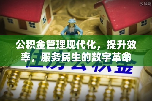麦寮公积金管理现代化，提升效率，服务民生的数字革命