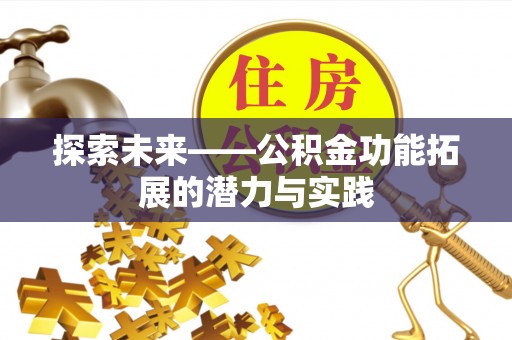 麦寮探索未来——公积金功能拓展的潜力与实践