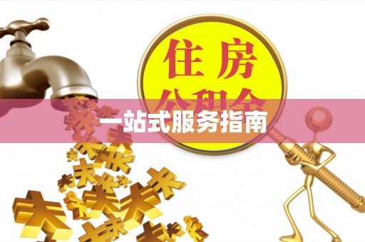 麦寮一站式服务指南