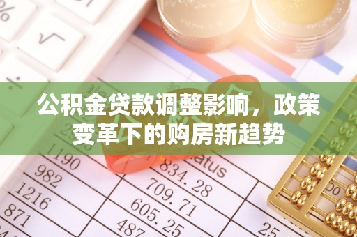 麦寮公积金贷款调整影响，政策变革下的购房新趋势