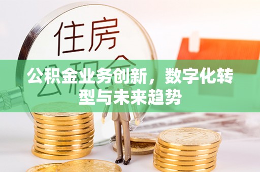 麦寮公积金业务创新，数字化转型与未来趋势