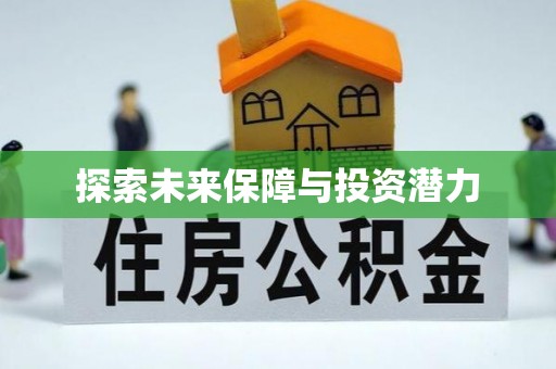 麦寮探索未来保障与投资潜力