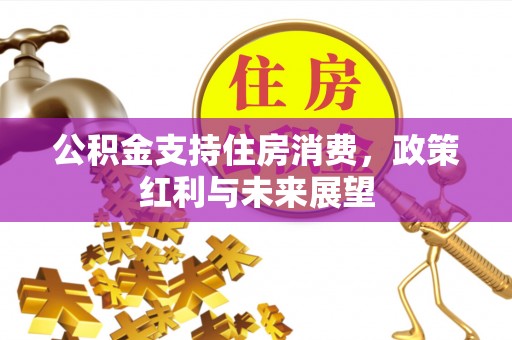 麦寮公积金支持住房消费，政策红利与未来展望
