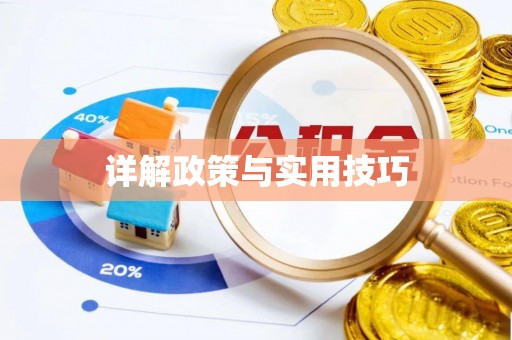 麦寮详解政策与实用技巧