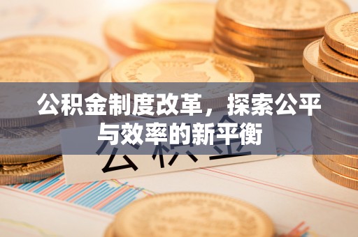 麦寮公积金制度改革，探索公平与效率的新平衡