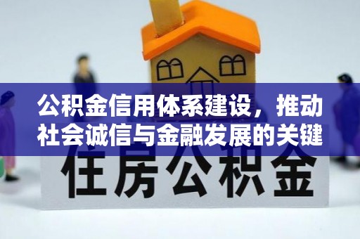 麦寮公积金信用体系建设，推动社会诚信与金融发展的关键桥梁