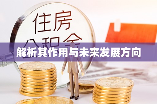 麦寮解析其作用与未来发展方向