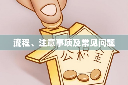 麦寮流程、注意事项及常见问题