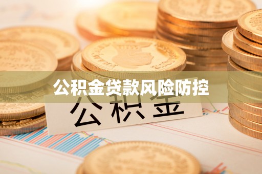 麦寮公积金贷款风险防控