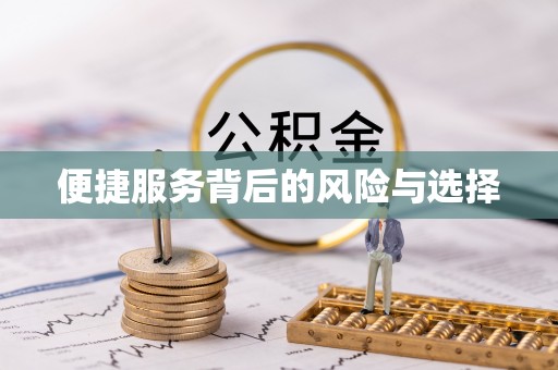 麦寮便捷服务背后的风险与选择