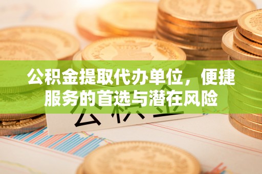 麦寮公积金提取代办单位，便捷服务的首选与潜在风险
