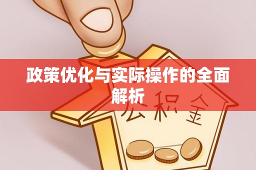 麦寮政策优化与实际操作的全面解析